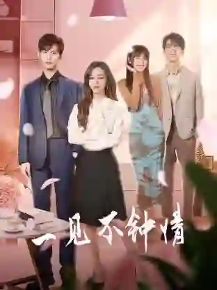 《一见不钟情》剧情深度解析与大结局剧透